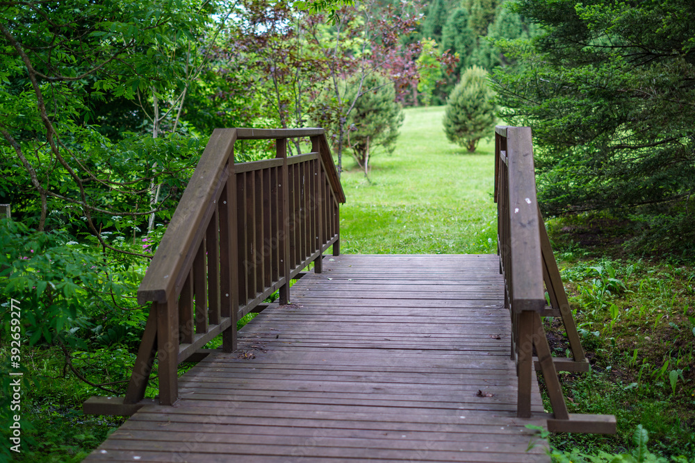 wooden boardwalk trail in green forest wooden boardwalk trail in green forest