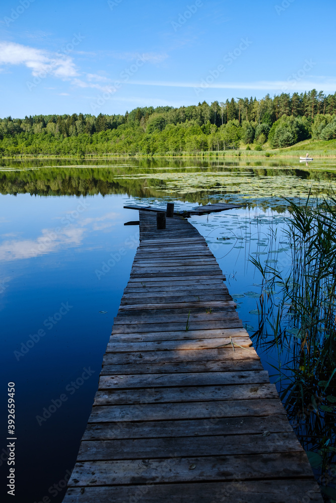 wooden boardwalk trail in green forest wooden boardwalk trail in green forest