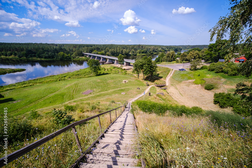 Obraz premium wooden boardwalk trail in green forest