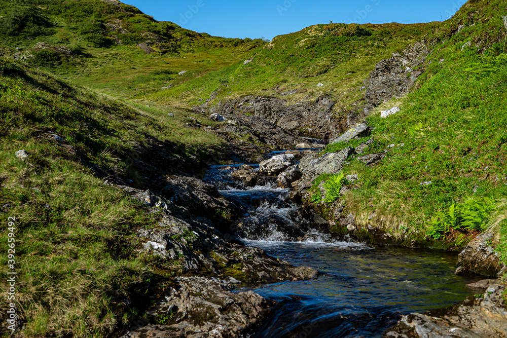 River in a green valley River in a green valley