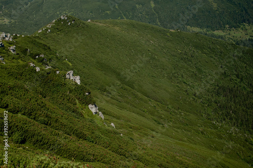 Carpathians mountain range at summer morning. Beauty of wild virgin Ukrainian nature. Peacefulness.