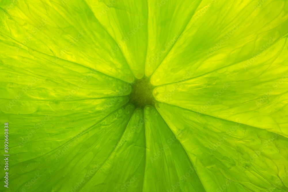Macro food collection - Lime texture. Closeup Macro food collection - Lime texture. Closeup