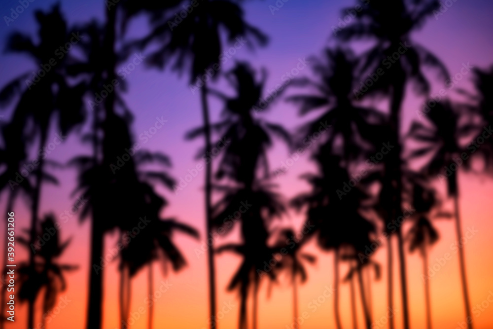 Fototapeta premium Blur silhouette palm or coconut trees at sunset