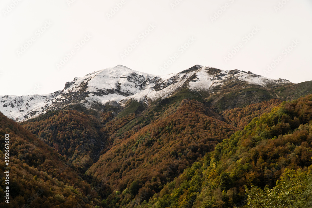 snow mountain landscape with auntumn forest