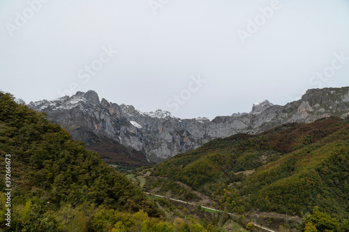 snow mountain landscape with auntumn forest photo