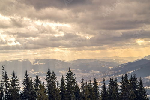 Fototapeta Naklejka Na Ścianę i Meble -  Winter cloudy landscape of the Carpathian Mountains in Eastern Europe	