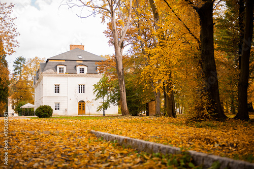 Autumn in Poland. 