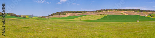Rural panorama. Panoramic view of agricultural fields in summer.