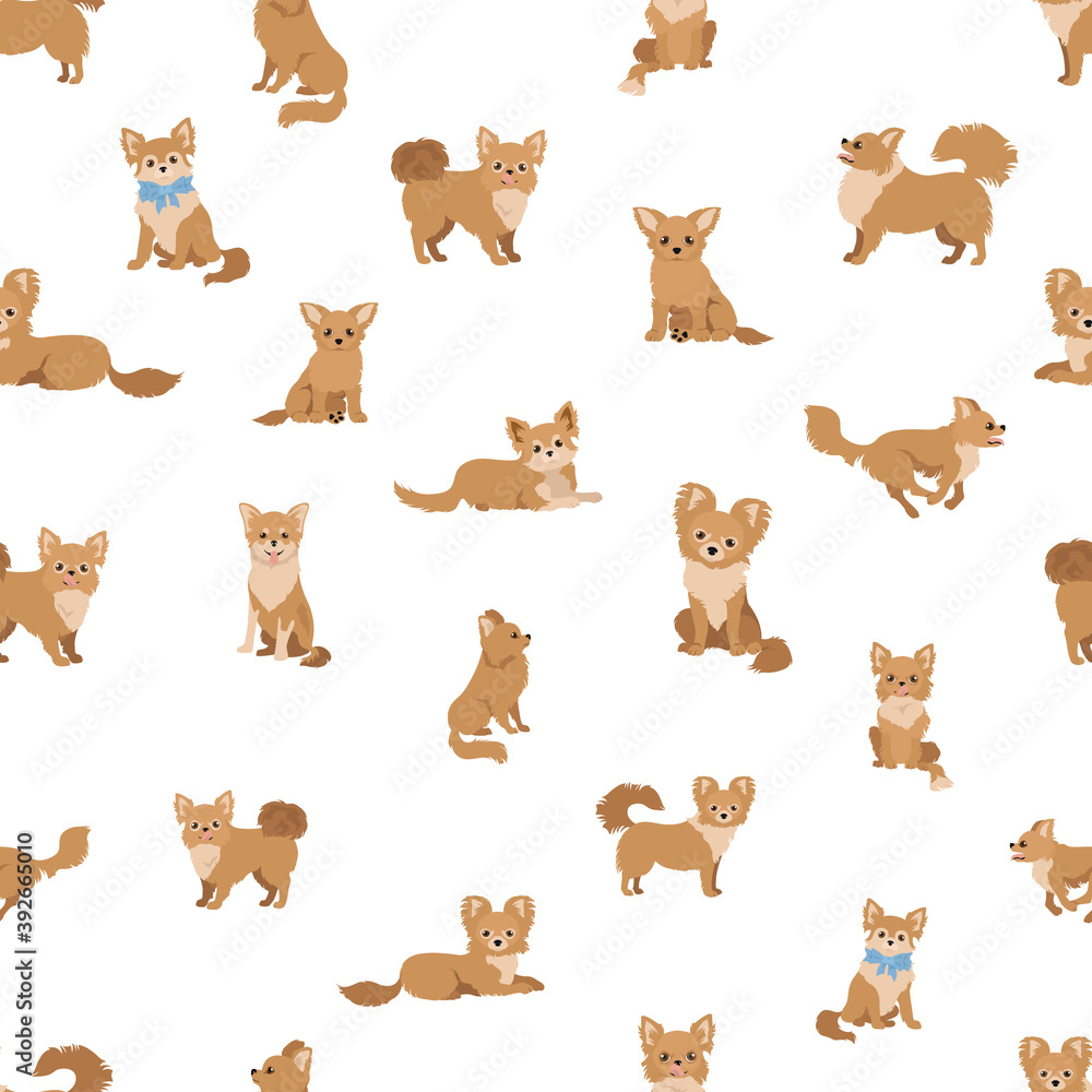 Obraz premium Chihuahua seamless pattern. Dog healthy silhouette and different poses background