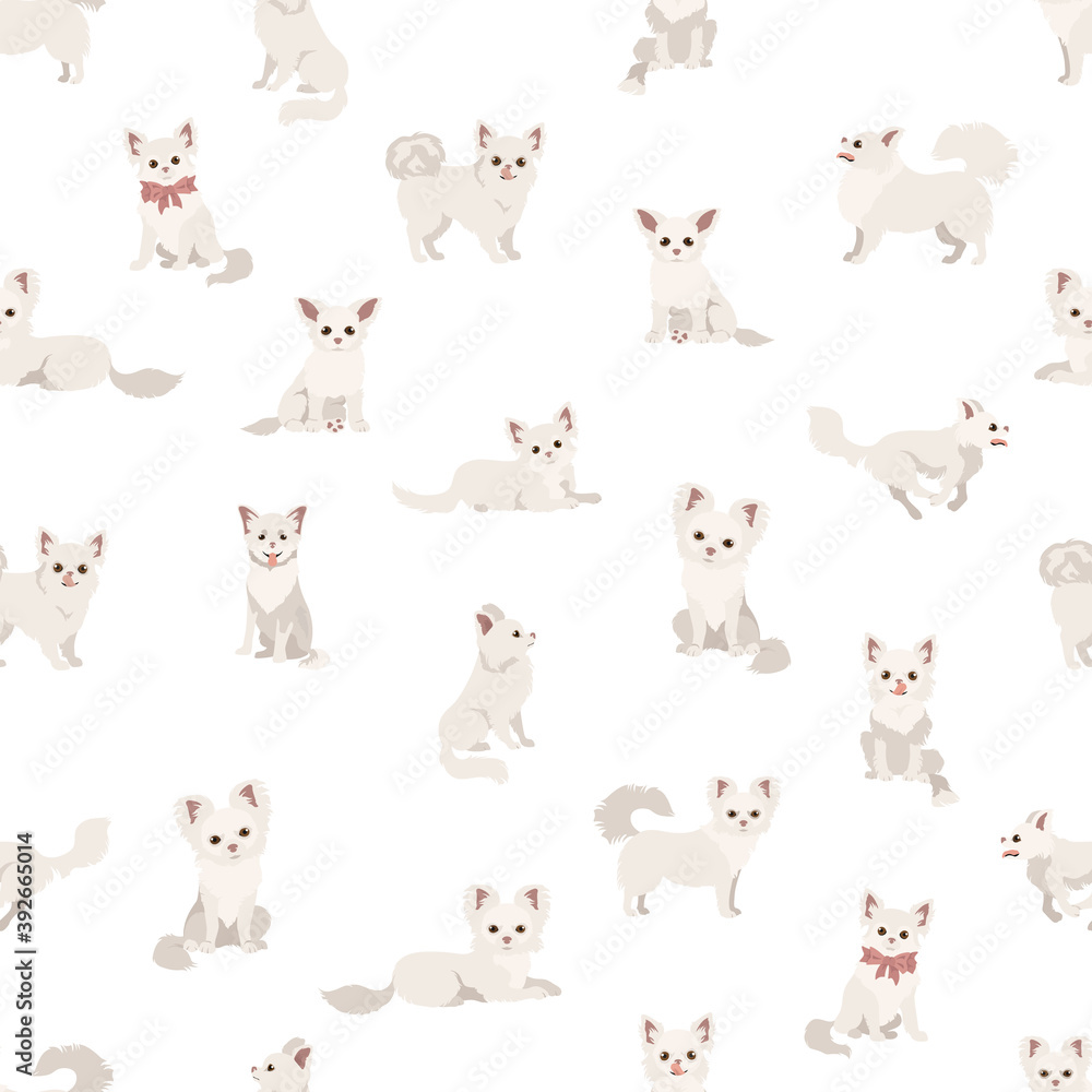 Chihuahua seamless pattern. Dog healthy silhouette and different poses background
