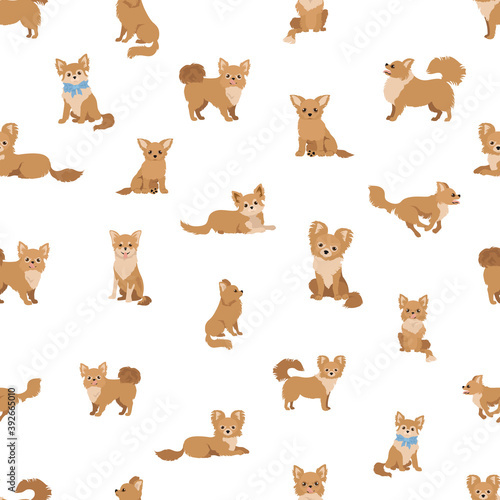Chihuahua seamless pattern. Dog healthy silhouette and different poses background