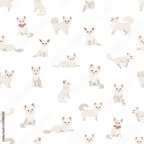 Chihuahua seamless pattern. Dog healthy silhouette and different poses background © a7880ss