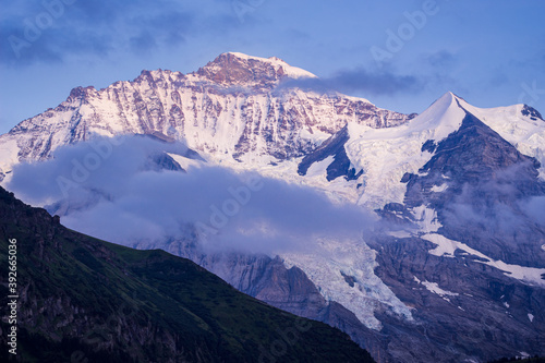 snow capped peak of the mountain Jungfrau in beautiful evening light seen from Wengen in the Bernese Alps, Switzerland