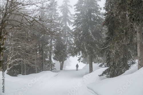 Randonnée en raquettes dans la foret à Autrans