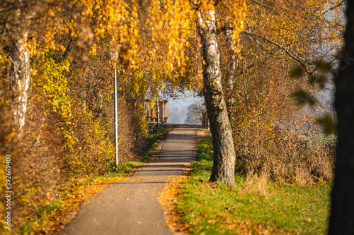 Herbstlicher Weg