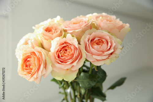 Bouquet of beautiful pink roses indoors  closeup