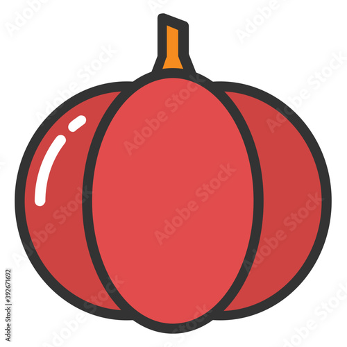 
A large orange or yellow fruit. Pumpkin fruit but often referred to as vegetables
