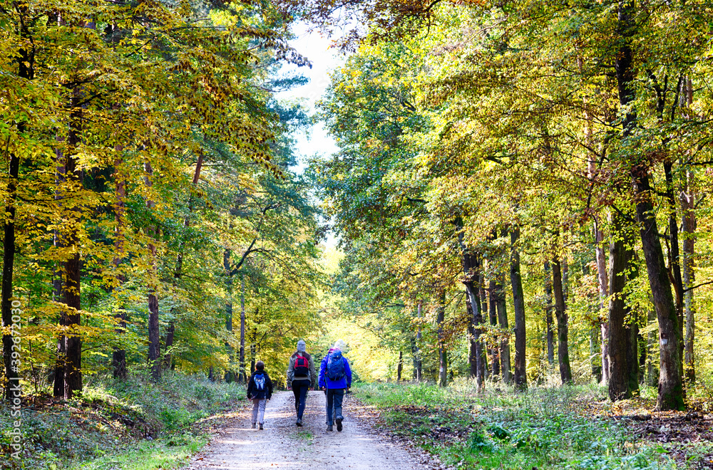 eine familie geht in bunten kleiden im wald