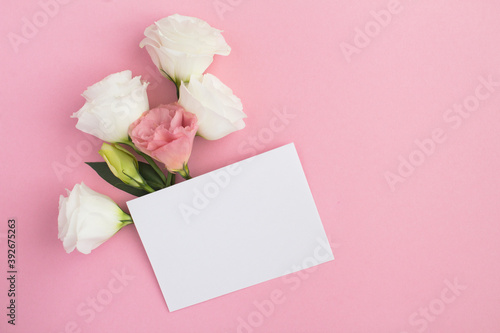 Empty white paper for text and white flowers on the pink  background © Liudmyla