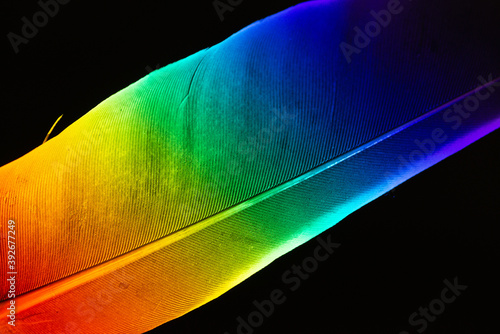 Prism feather