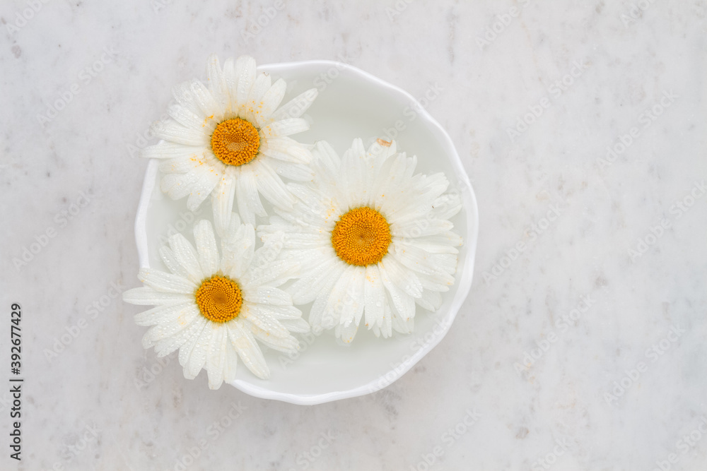 Obraz premium Chamomile flowers floating in bowl of water on marble table