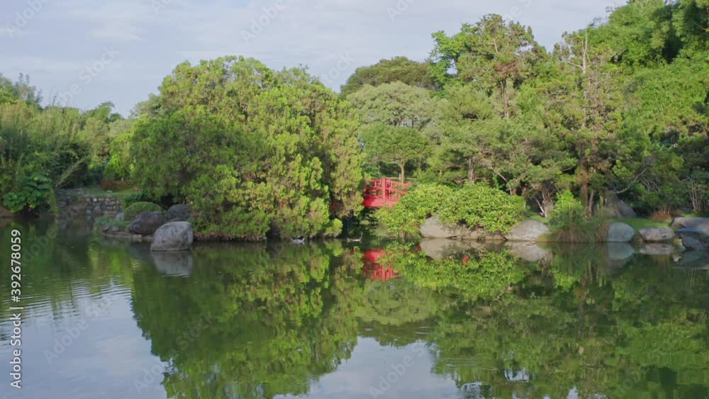 Birds beneath small red bridge at Japanese garden, Dominican Republic. Dolly-in Birds beneath small red bridge at Japanese garden, Dominican Republic. Dolly-in