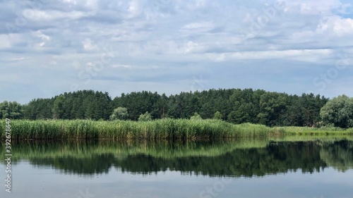 lake in the forest