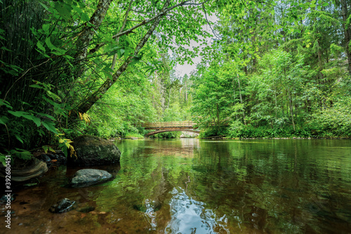 Outcrops of Devonian sandstone on the banks of Ahja river  Estonia. 