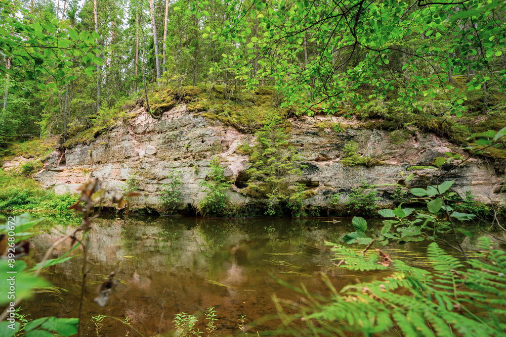 Outcrops of Devonian sandstone on the banks of Ahja river, Estonia. Outcrops of Devonian sandstone on the banks of Ahja river, Estonia.