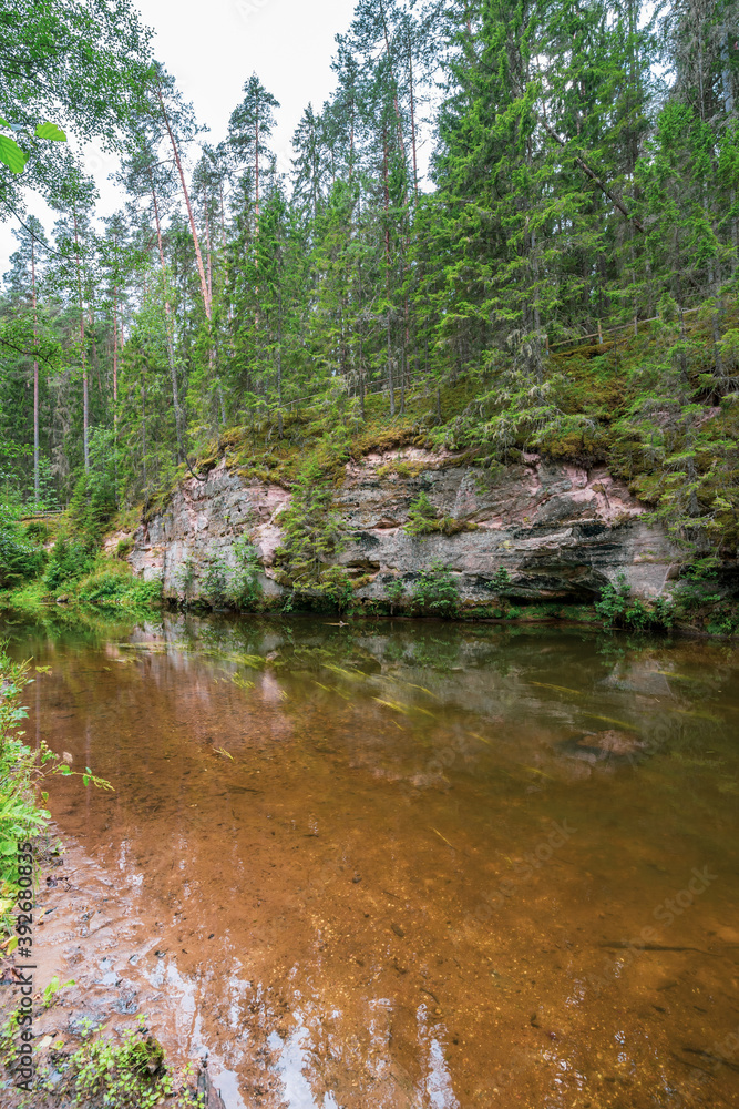 Outcrops of Devonian sandstone on the banks of Ahja river, Estonia.
