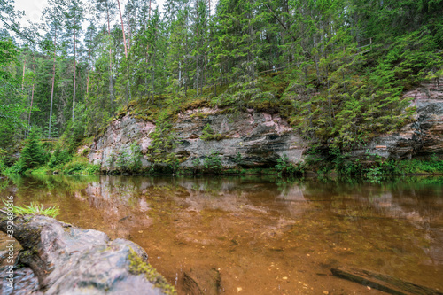 Outcrops of Devonian sandstone on the banks of Ahja river  Estonia. 