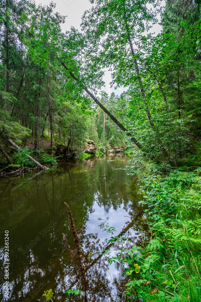 Outcrops of Devonian sandstone on the banks of Ahja river, Estonia. Outcrops of Devonian sandstone on the banks of Ahja river, Estonia.