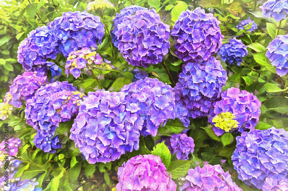 Beautiful lilac flowers close up view colorful painting