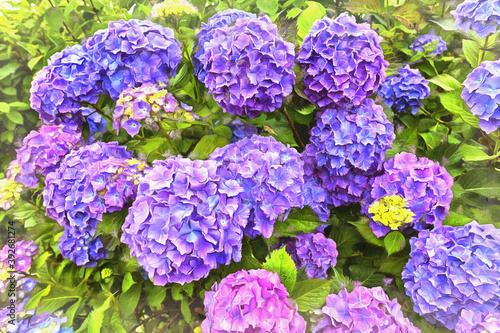 Beautiful lilac flowers close up view colorful painting