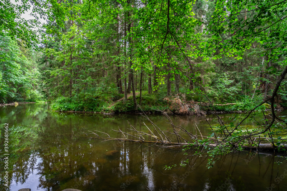 Outcrops of Devonian sandstone on the banks of Ahja river, Estonia.