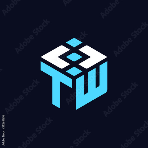 TW Letter Web Design and Developer Company Brand Logo and Website favicon Vector Editable