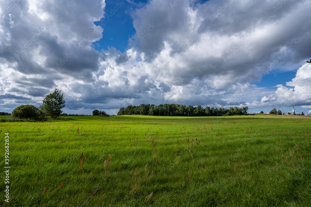 Fototapeta premium Green field. Summer landscape. Beautiful clouds. Nature background.