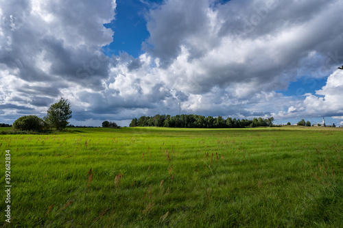 Green field. Summer landscape. Beautiful clouds. Nature background.