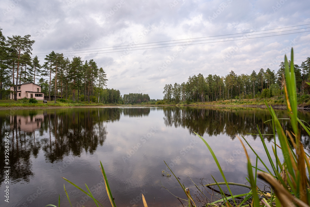 View of dam in forest, Estonia. Nature landscape. Summer.
