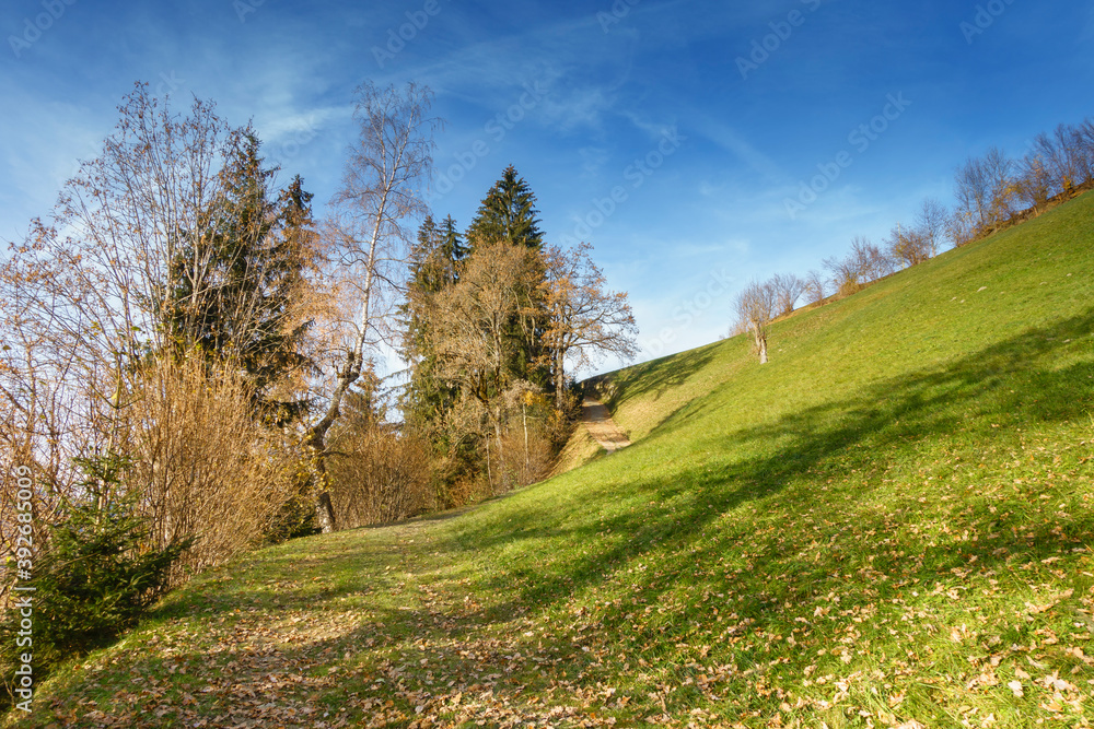 Herrlicher Wanderweg durch eine herbstliche Almwiese in Österreich Herrlicher Wanderweg durch eine herbstliche Almwiese in Österreich