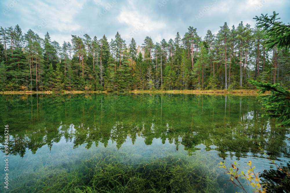 Beautiful blue lake in woods. autumn landscape.
Beautiful blue lake in woods. autumn landscape.