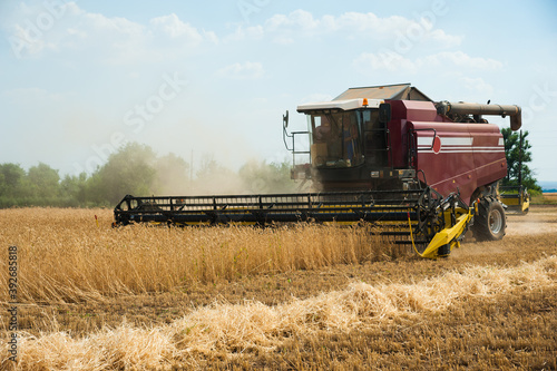 Combine harvesters in a field of wheat