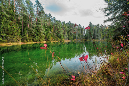 Beautiful blue lake in woods. autumn landscape. © nikwaller