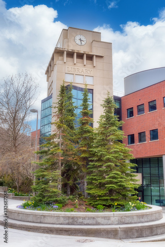 Building labeled Library with Pine trees in a planter box photo