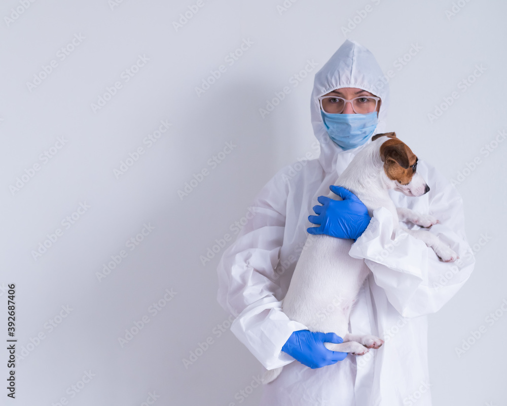 A woman in a protective suit and mask is holding a Jack Russell Terrier dog on a white background