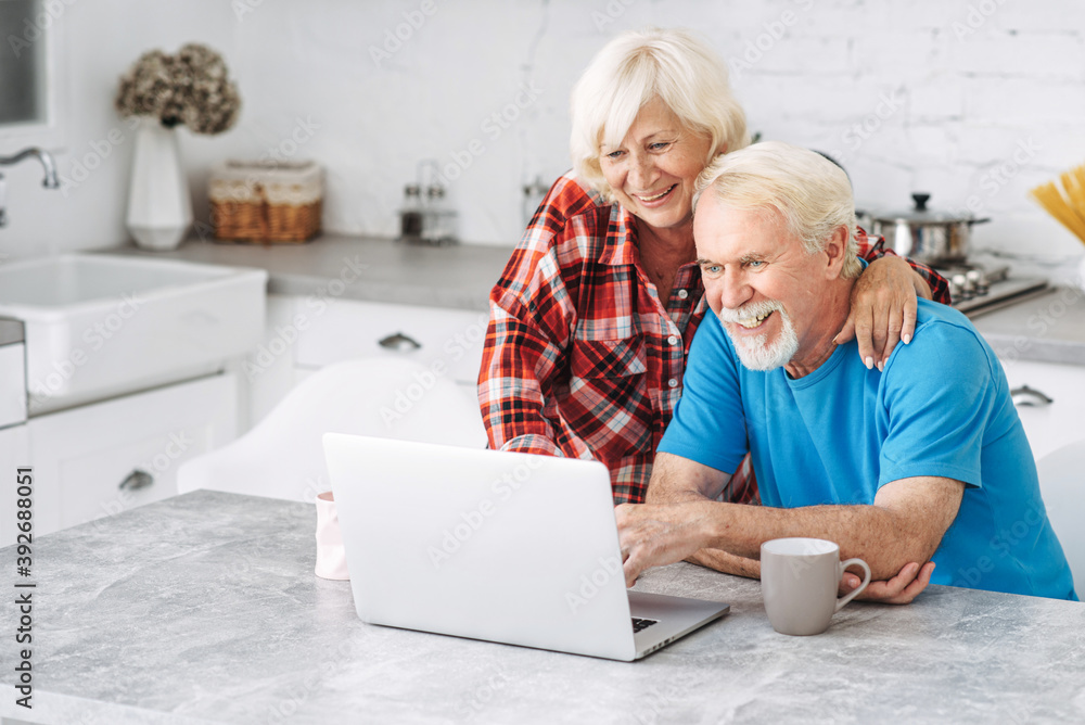 Senior couple with laptop at home