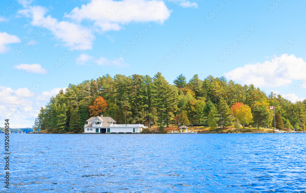 Fototapeta premium landscape with lake and trees in autumn