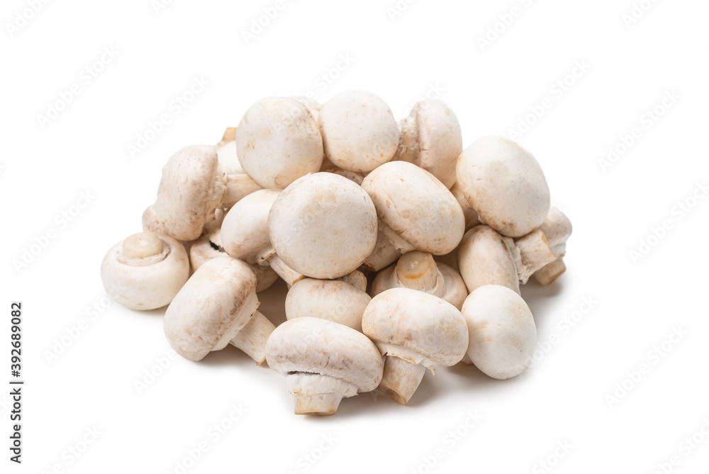Champignon mushroom isolated on white background. Champignon mushroom isolated on white background.