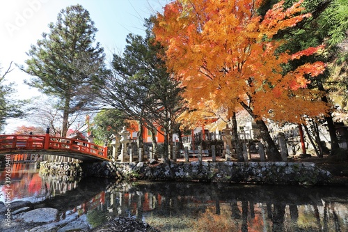 天川村　龍泉寺の紅葉