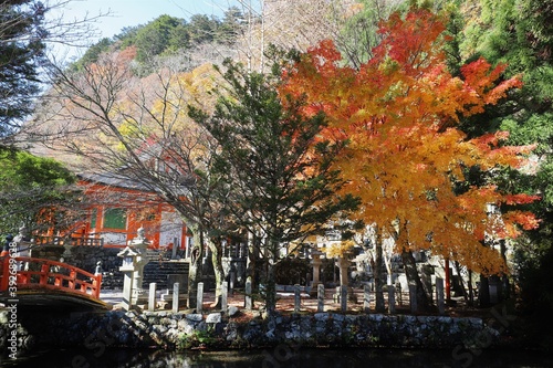 天川村　龍泉寺の紅葉 © narautsu